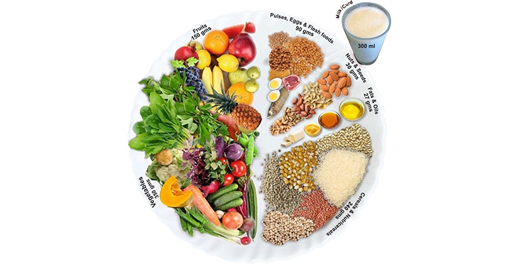 10 Things to Know About the Plate Diet, Nutrition