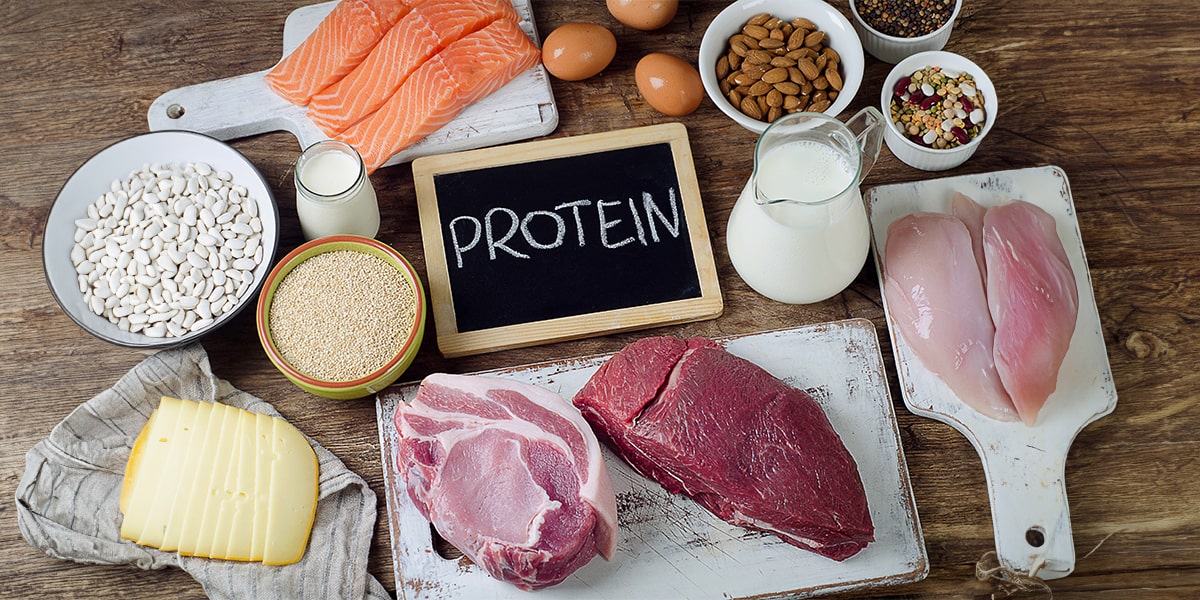 High Protein Foods