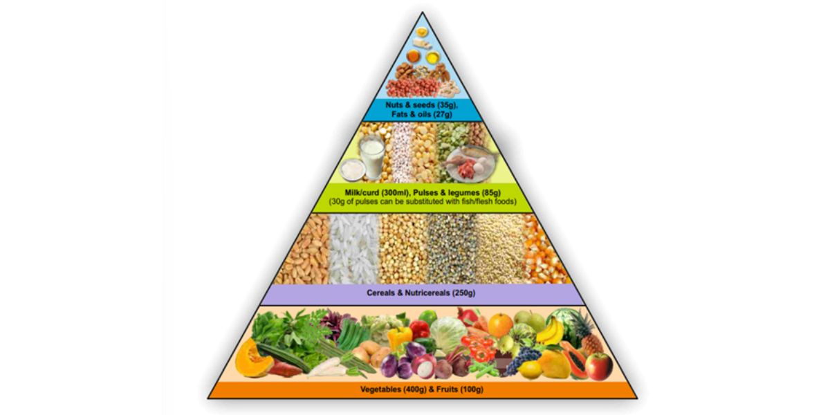 Food Pyramid