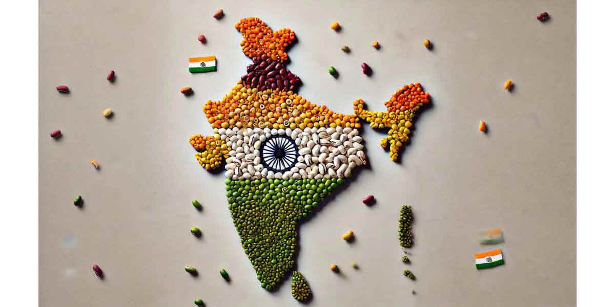 Indian Map Art with Pulse Grains Craft